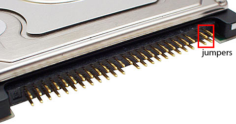 44 pin IDC (2 mm pitch) male photo and diagram